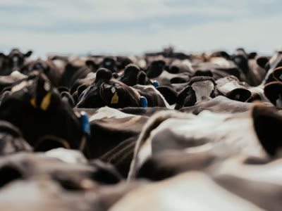 About Feirm Supplies